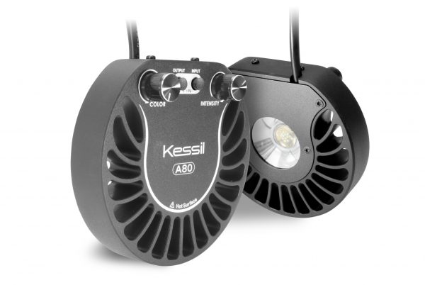 Kessil A80
