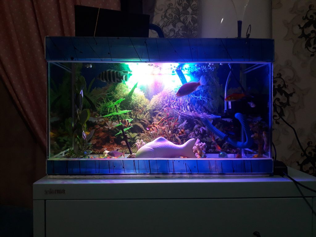 Aquarium night lights that are too bright!